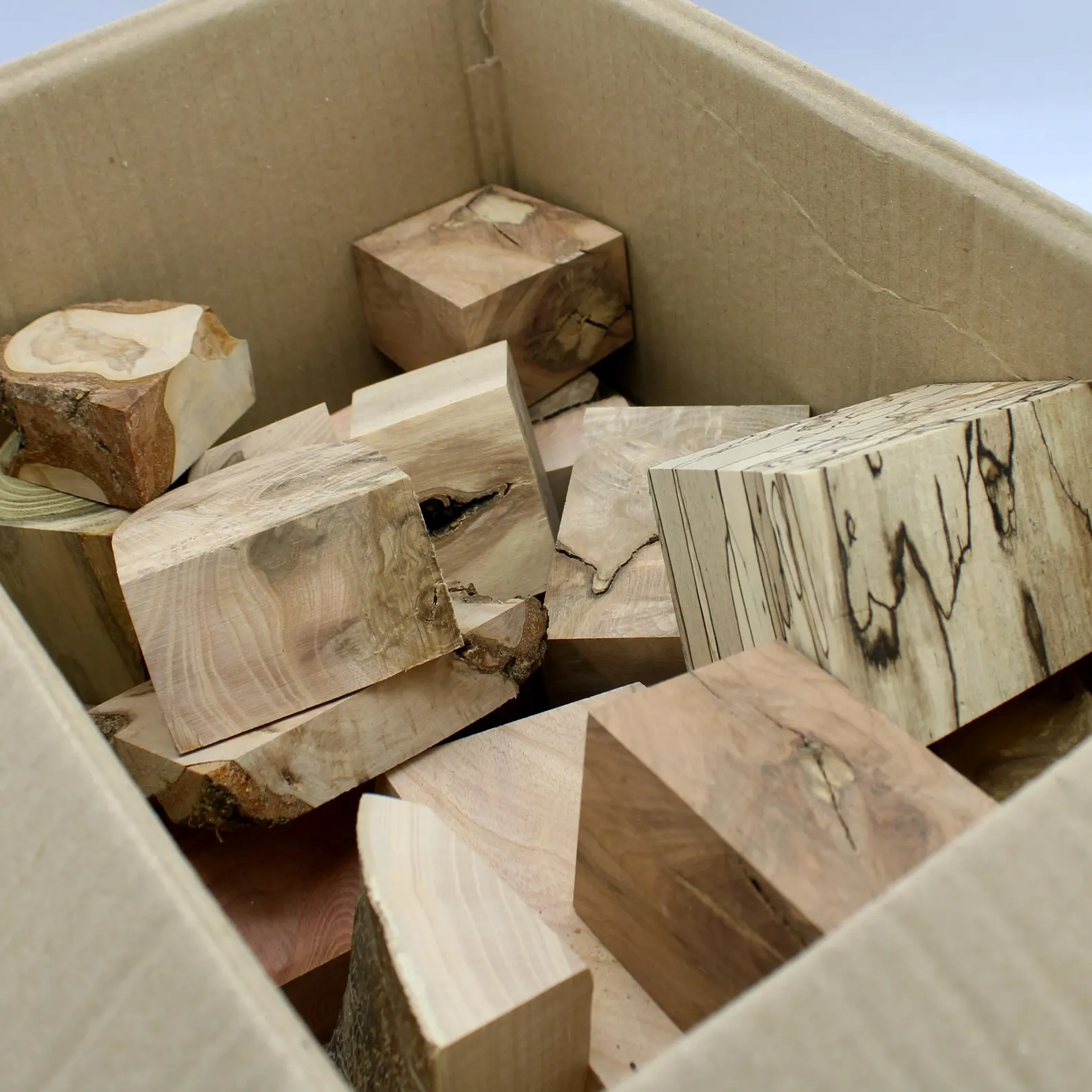 Bois originaux pour créations bijoux, bois rares, échauffés, loupes, broussins, noeuds – Image 3