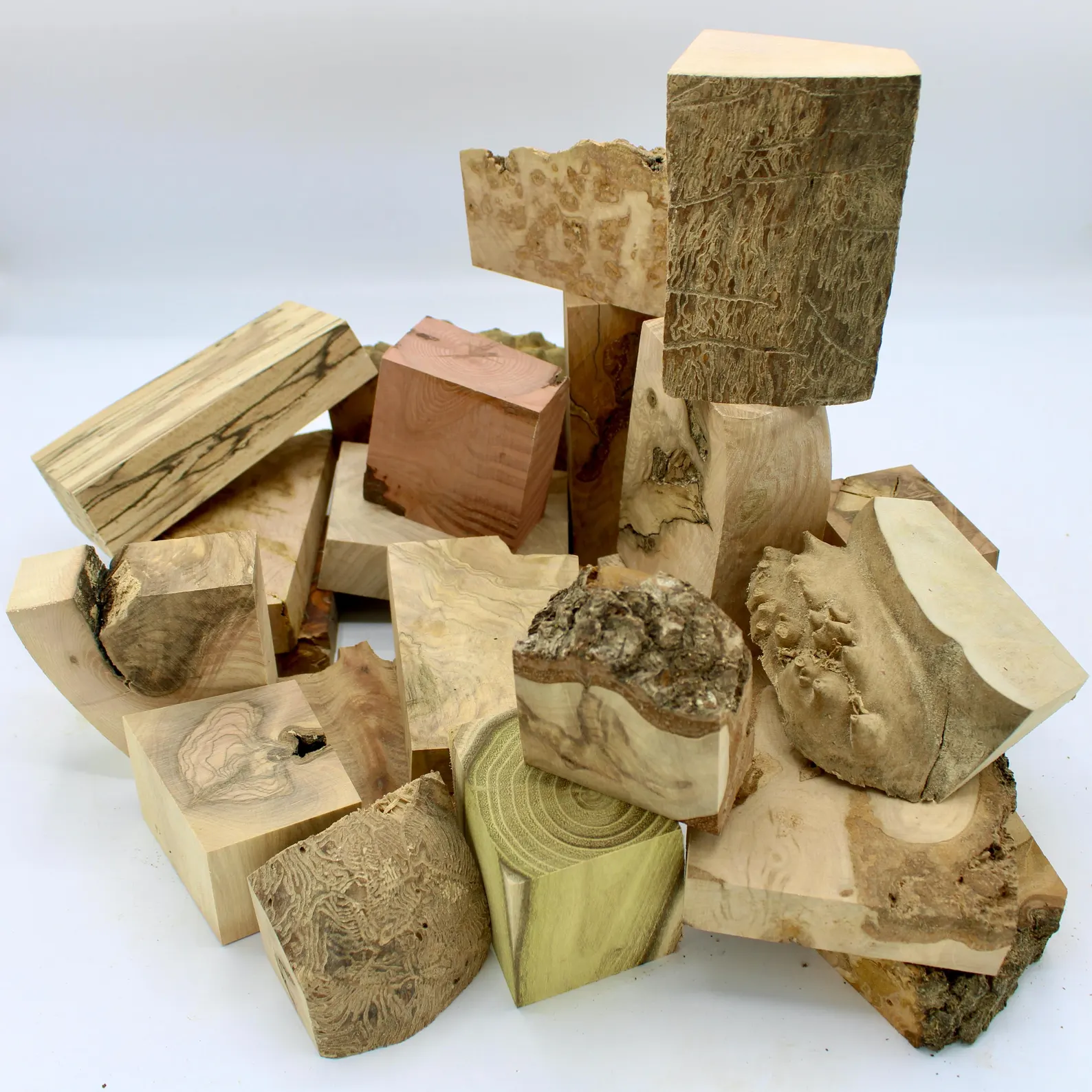 Bois originaux pour créations bijoux, bois rares, échauffés, loupes, broussins, noeuds – Image 11