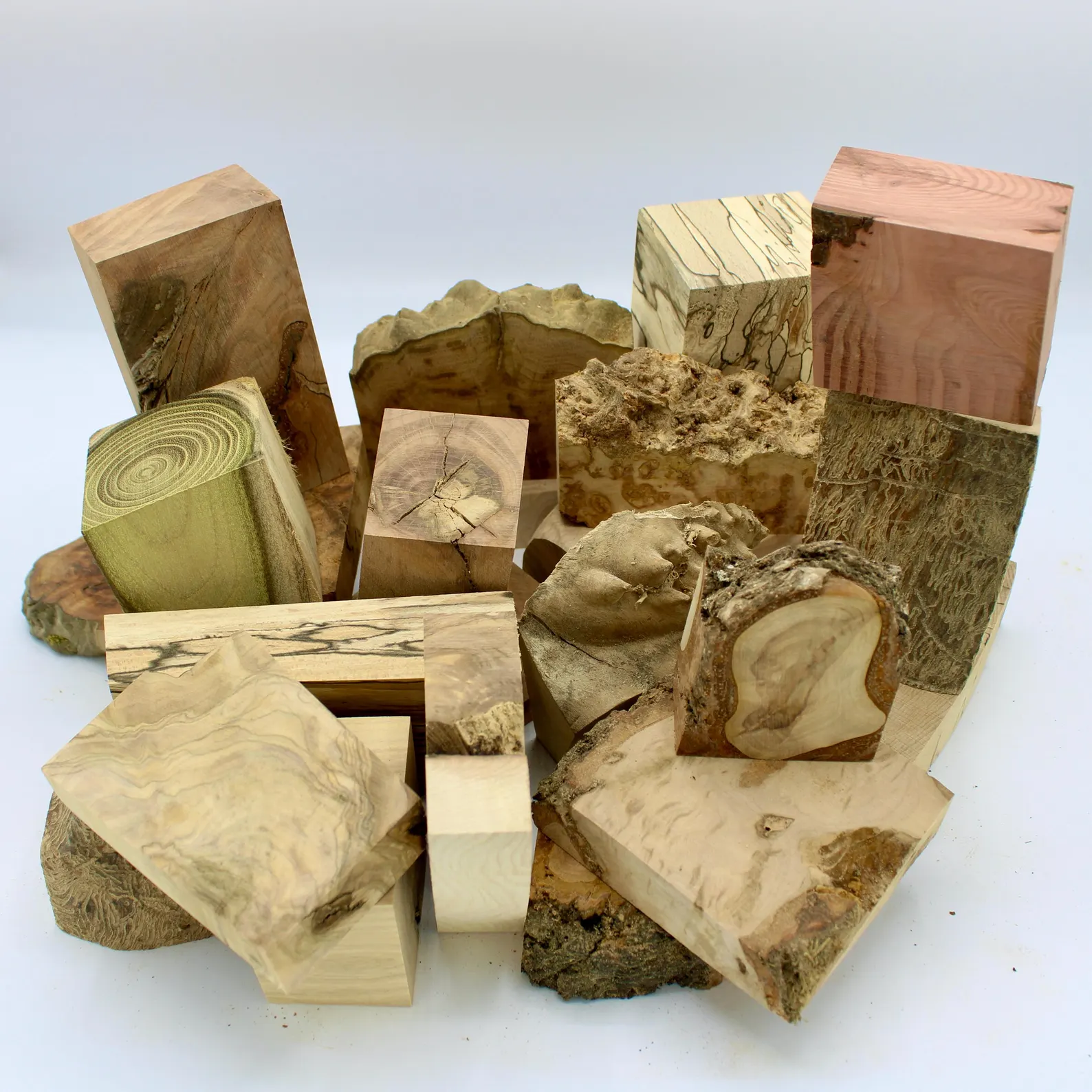 Bois originaux pour créations bijoux, bois rares, échauffés, loupes, broussins, noeuds – Image 5
